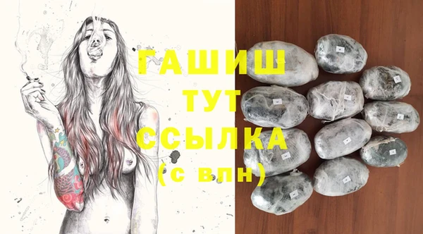 гашик Няндома