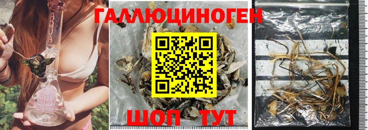 Галлюциногенные грибы MAGIC MUSHROOMS Медногорск