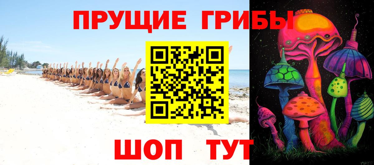 как найти закладки  Вход с VPN  Медногорск  Галлюциногенные грибы MAGIC MUSHROOMS 